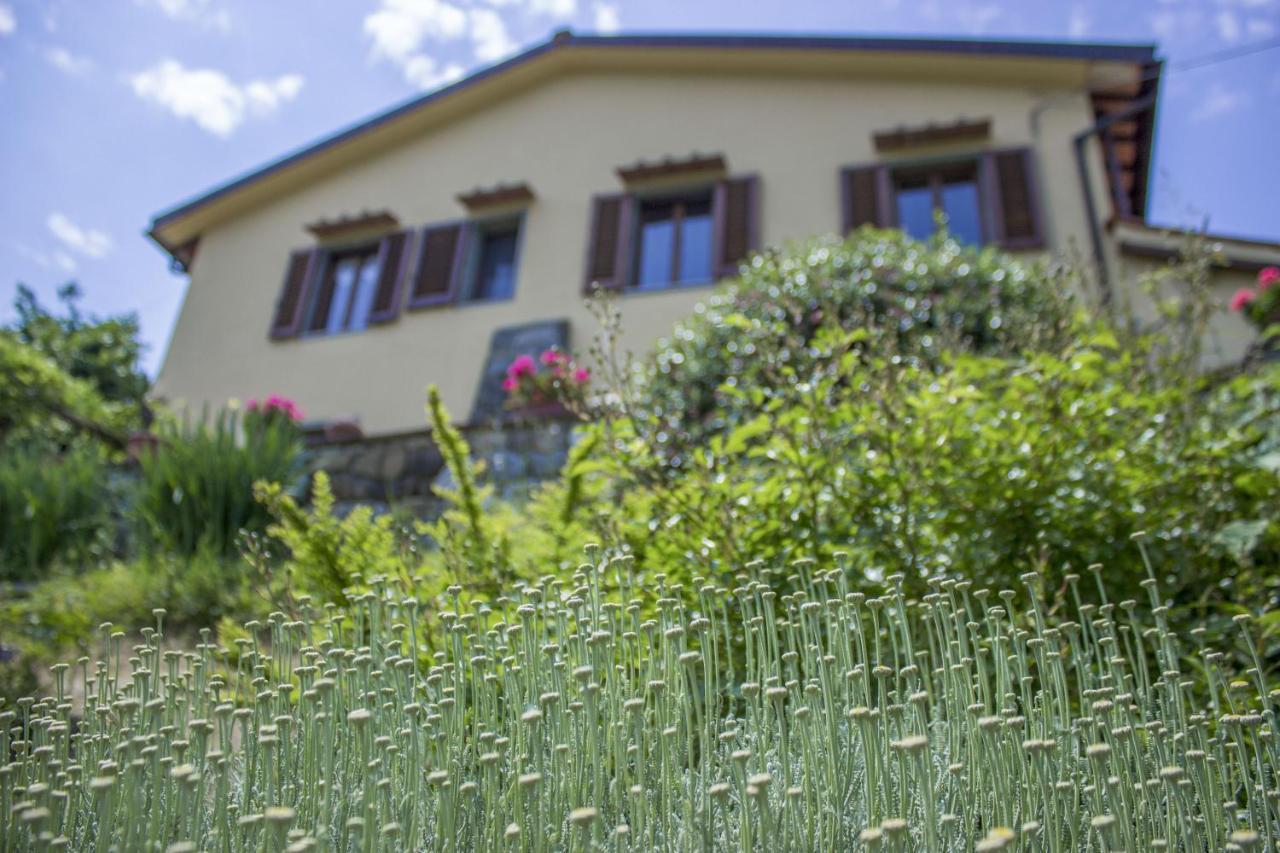 Polcanto Villa Porcigliano Olive Grove מראה חיצוני תמונה