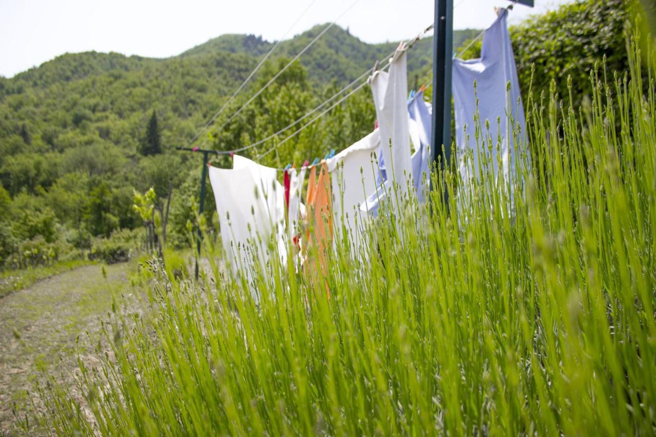 Polcanto Villa Porcigliano Olive Grove מראה חיצוני תמונה