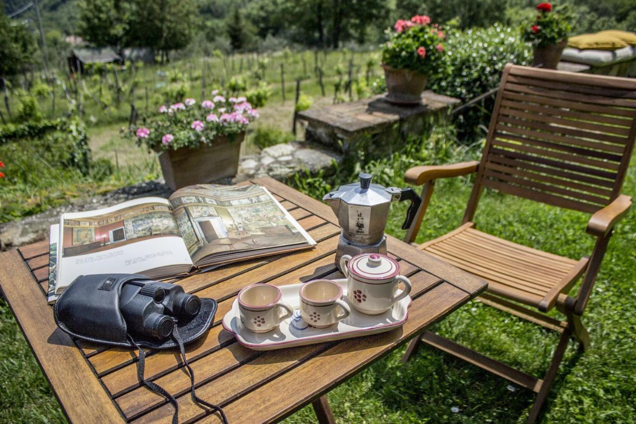 Polcanto Villa Porcigliano Olive Grove מראה חיצוני תמונה