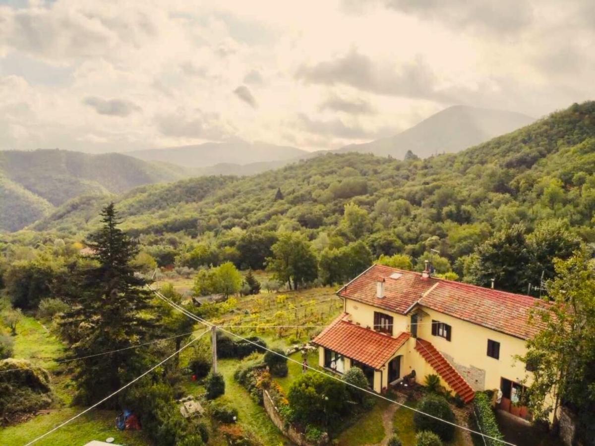 Polcanto Villa Porcigliano Olive Grove מראה חיצוני תמונה