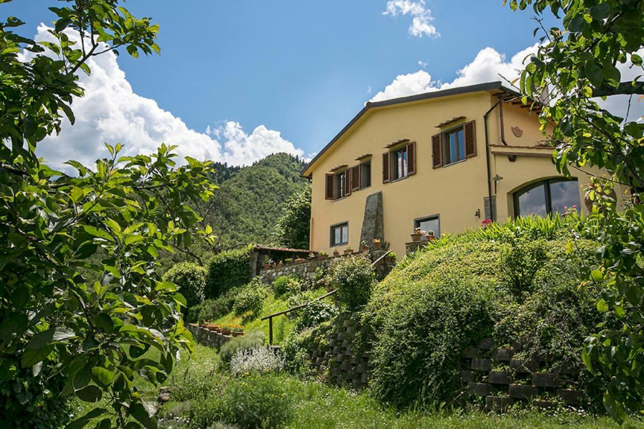 Polcanto Villa Porcigliano Olive Grove מראה חיצוני תמונה