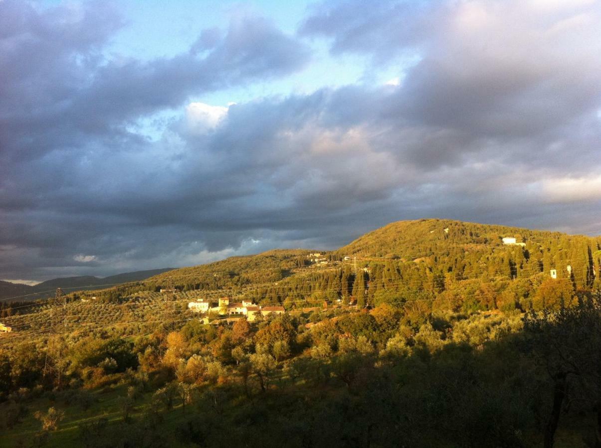 Polcanto Villa Porcigliano Olive Grove מראה חיצוני תמונה